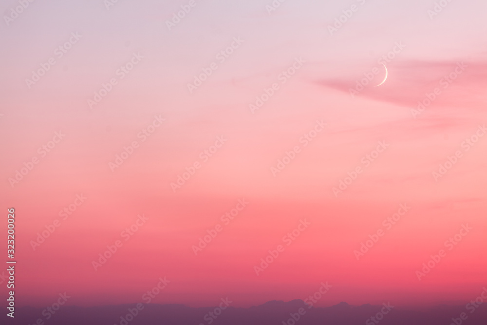 pink moon in the sunset sky over the forest pink moon in the sunset sky over the forest
