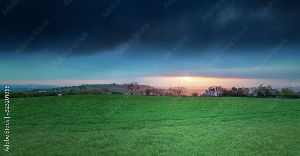 Fototapeta premium Green grass field and a dramatic sky on sunset