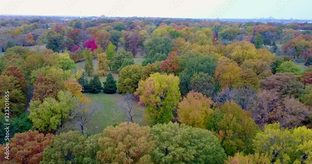4K aerial drone shot of Tower Grove park in St.Louis during fall time 4K aerial drone shot of Tower Grove park in St.Louis during fall time