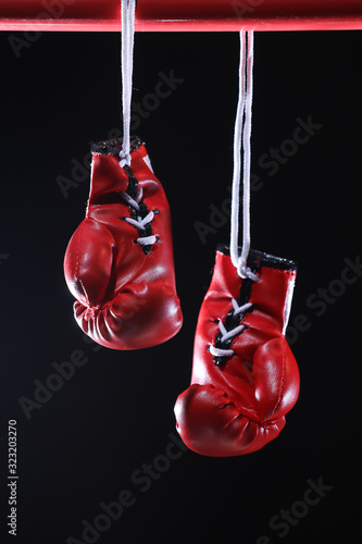 Red boxing gloves in the ring