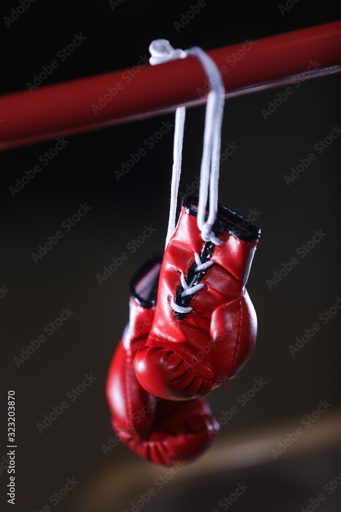 Red boxing gloves in the ring