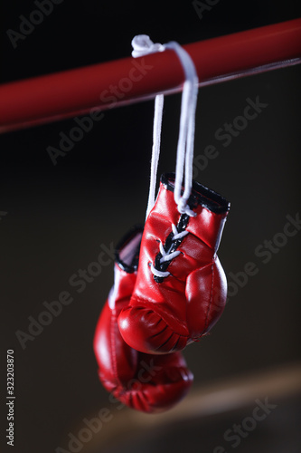 Red boxing gloves in the ring © VItaliy