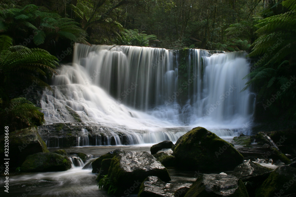 Obraz premium Horseshoe Waterfall Tasmania. Rainforest long exposure shot of pristine falls.