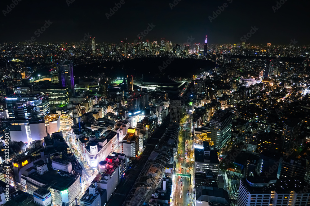 Fototapeta premium 東京 渋谷スクランブルスクエア 展望台からの夜景