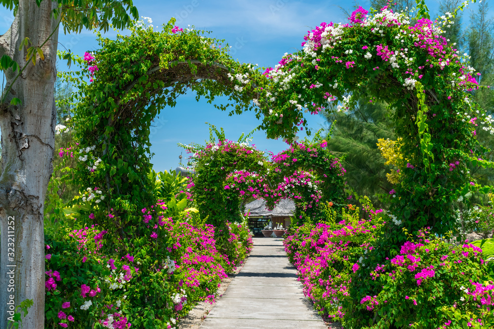 Heart-shaped arch in tunnel with pink flowers in park in tropics under sunlight Heart-shaped arch in tunnel with pink flowers in park in tropics under sunlight