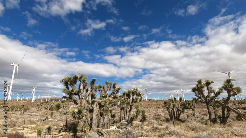 Cloudy Time Lapse over Joshua Trees and Windmills in the Mojave Desert, California Cloudy Time Lapse over Joshua Trees and Windmills in the Mojave Desert, California