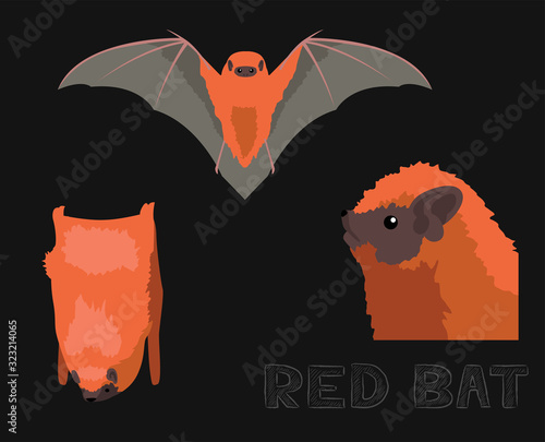 Red Bat Cartoon Illustration