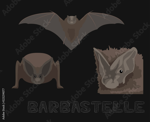 Bat Barbastelle Cartoon Illustration