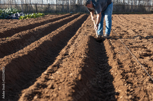 farmer preparing land with hoe to plant potatoes