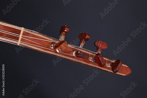 Bilde på lerret Saz and hand,Turkish musical instrument