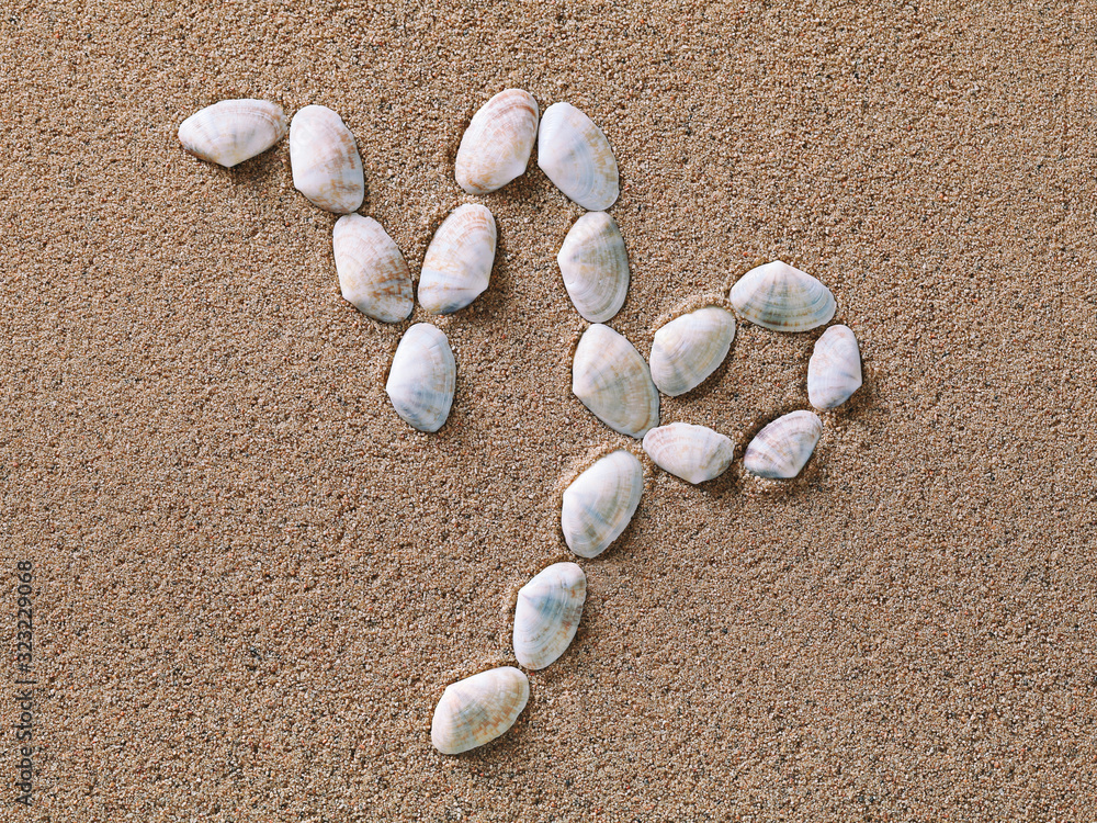 Capricorn Zodiac sign made of seashells on sand background Capricorn Zodiac sign made of seashells on sand background