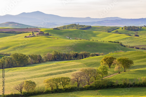 Landscape view of a rural Tuscan Landscape