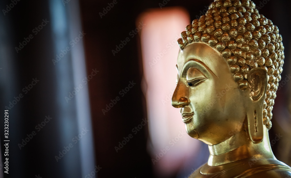 Selective focus  close-up shots of of the Buddha images with soft light and layout design for a beautiful religious background.