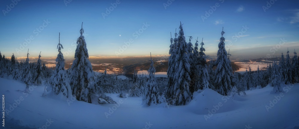 Scenic winter landscape,snowy spruce trees,fresh powder snow, mountain forest. Valley, mountains and blue sky with moon in background. Panoramic image. Middle europe.  .
