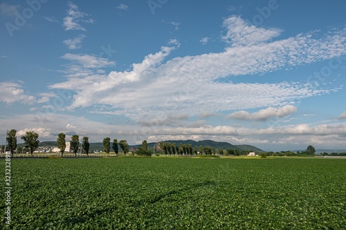 夏の岩見沢市の田園風景