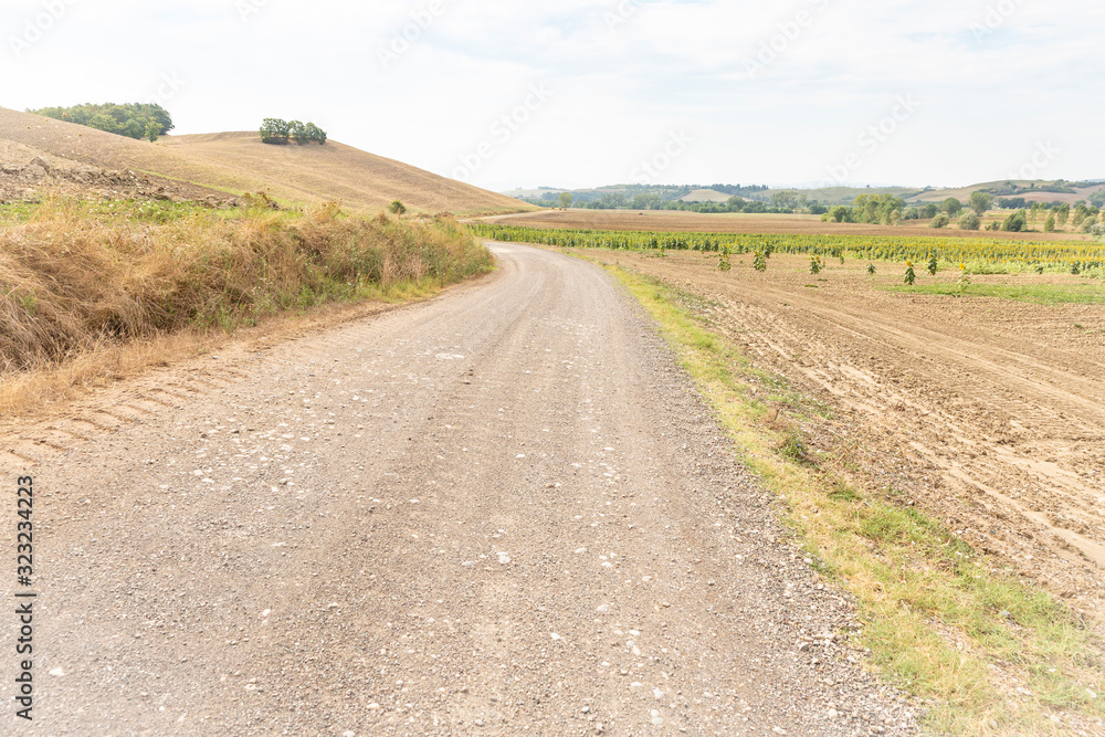 a gravel road through agricultural fields next to Lucignano D'Arbia (Monteroni d'Arbia), province of Siena, Tuscany, Italy