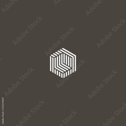 white sign on a black background. simple vector abstract geometric iconic sign of hexagonal construction 
