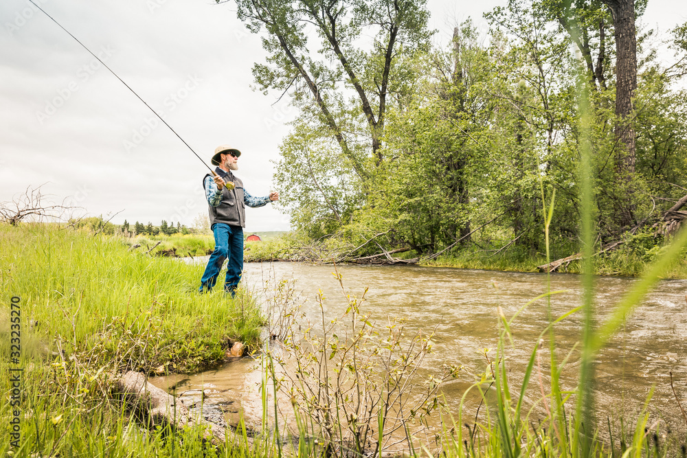 Fly fisherman fishing with waders in small stream. Red Lodge, Montana, USA Fly fisherman fishing with waders in small stream. Red Lodge, Montana, USA