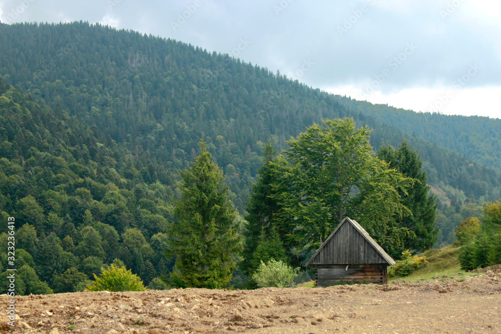 Summer landscape of Ukrainian Carpathians. Forest in the mountains of eastern Europe.Abandoned shepherd's house in the forest.