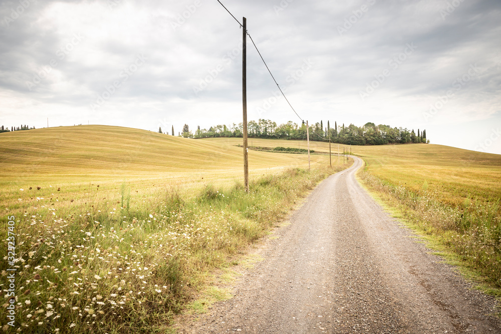 a gravel road through agricultural fields next to Ponte D'Arbia (Monteroni d'Arbia), province of Siena, Tuscany, Italy