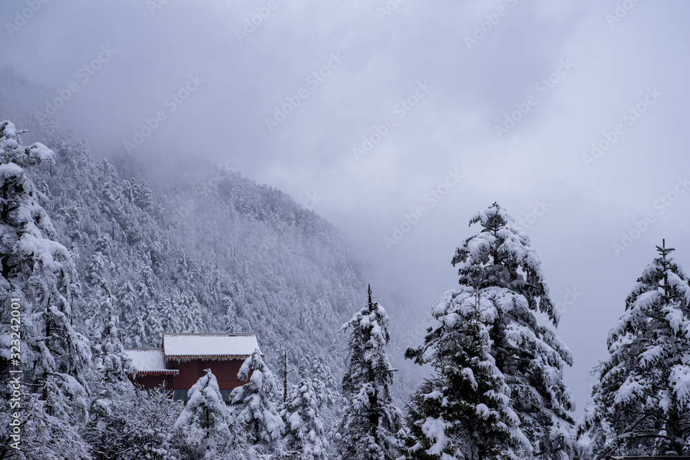 Fototapeta premium snow covered mountainside and building