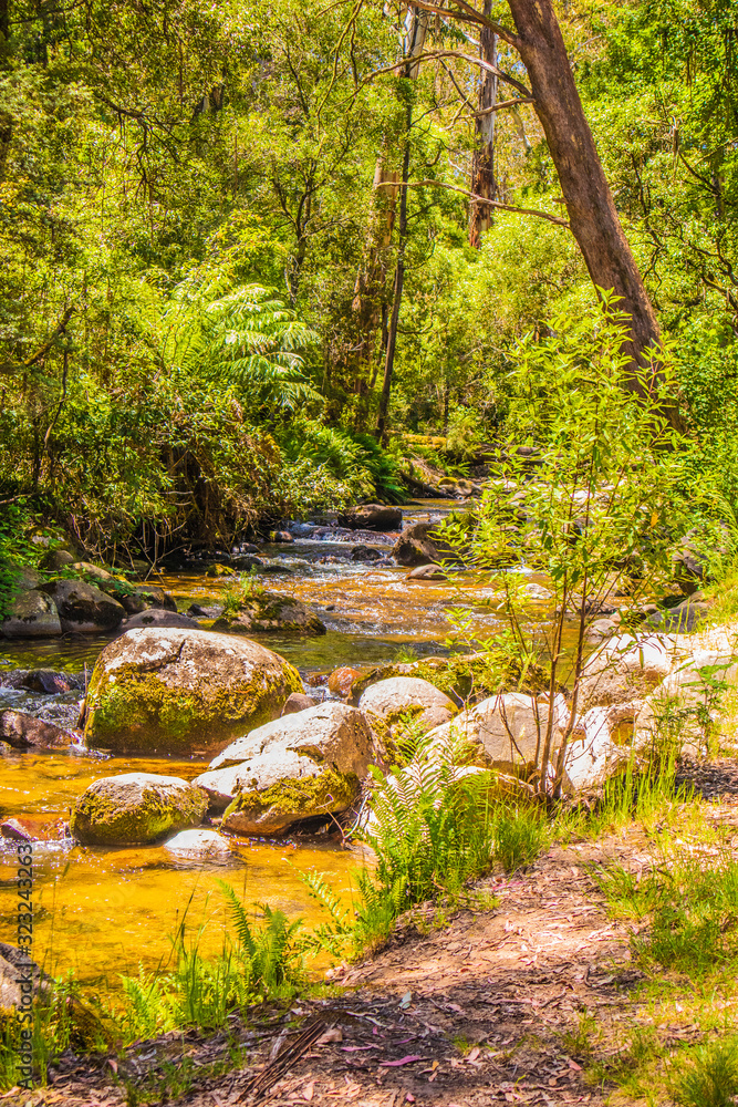 A gentle stream running past rocks down a mountain A gentle stream running past rocks down a mountain