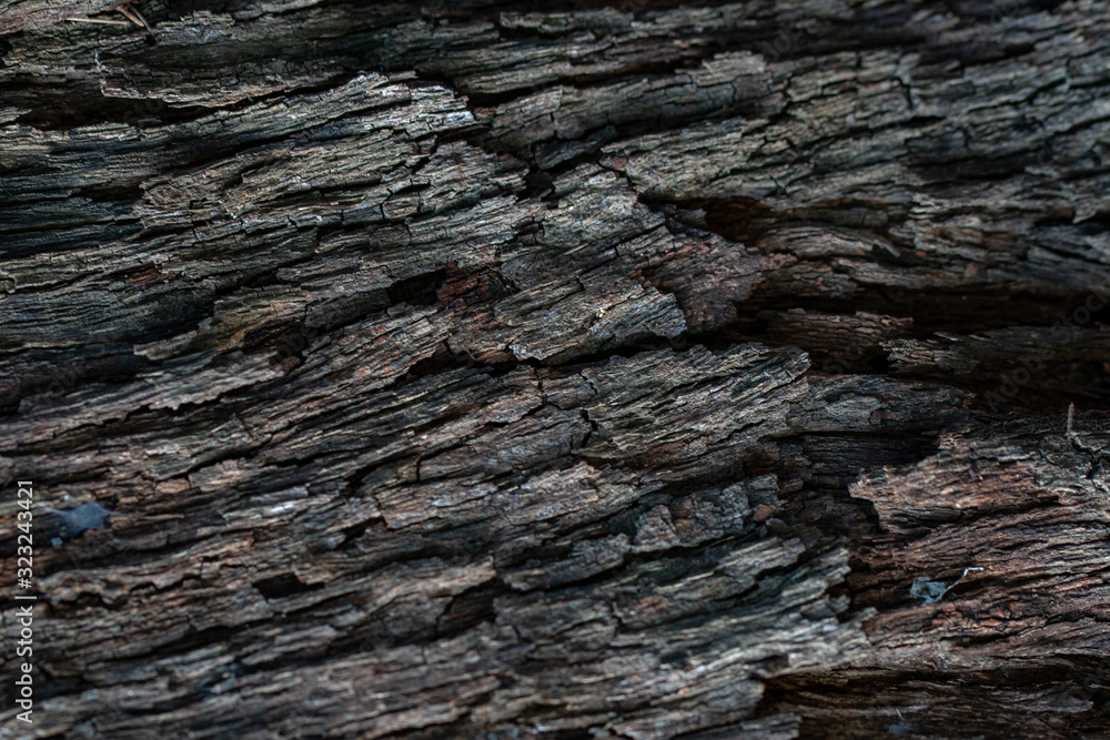 old wood texture for background or wallpapers old wood texture for background or wallpapers