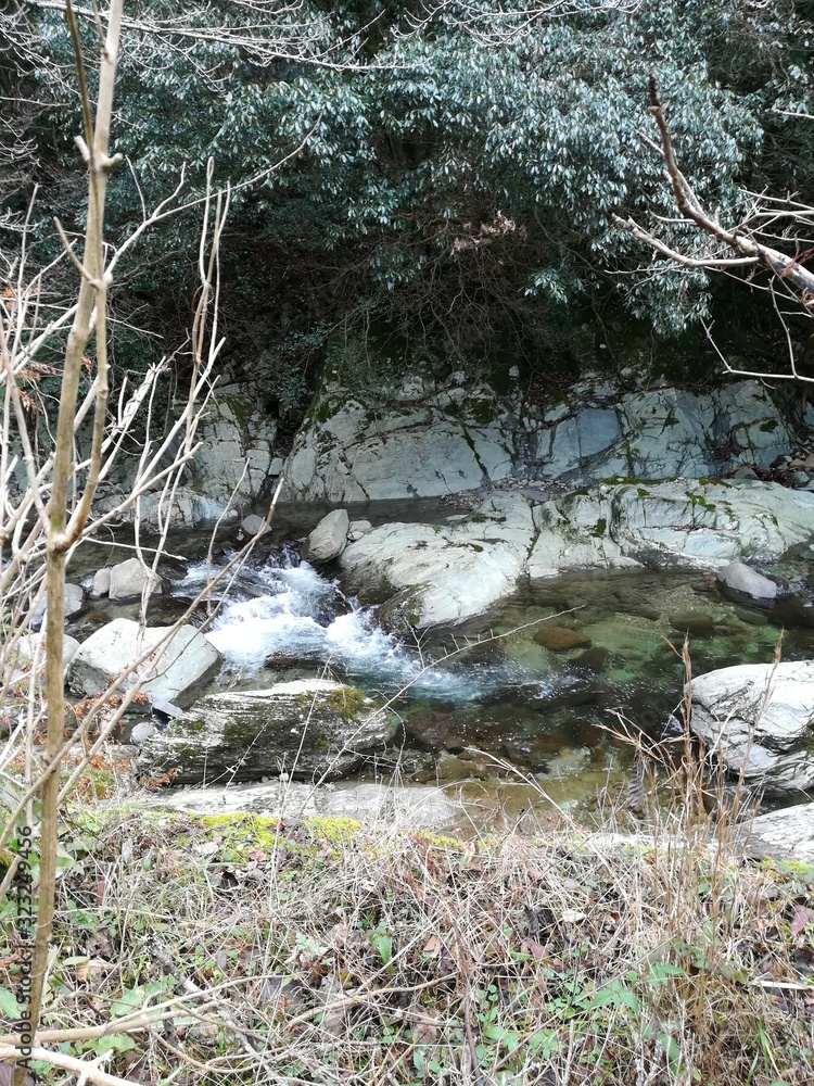 river in forest river in forest