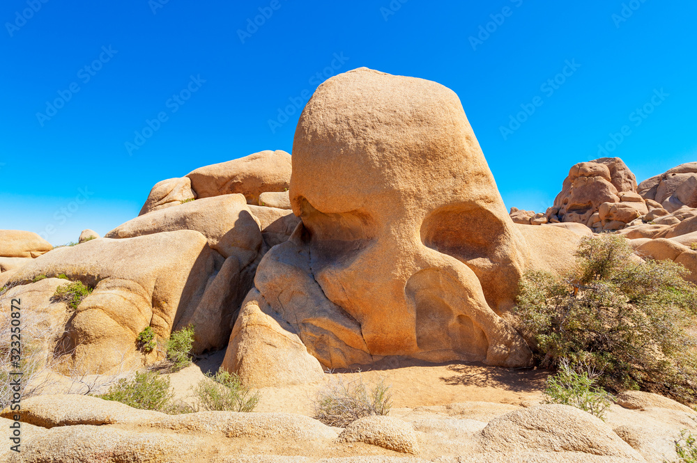 Skull shaped Rock in Joshua Tree National Park USA