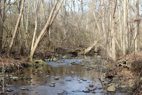 The flowing water of the creek in the bare tree forest.