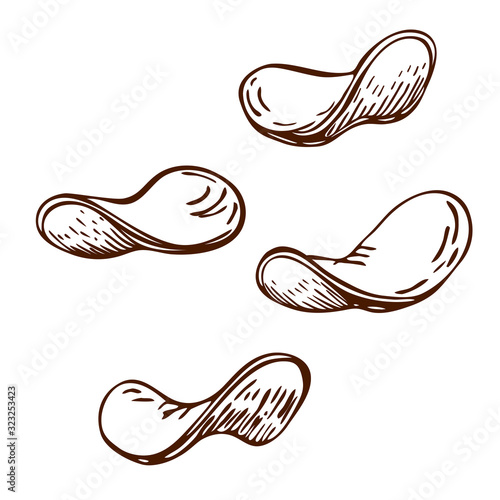 fried potato chips slices hand drawn. vector sketch of crunchy delicious potato crisps isolated on white background. set of bar food in engraved vintage style. beer appetizer. great for package design