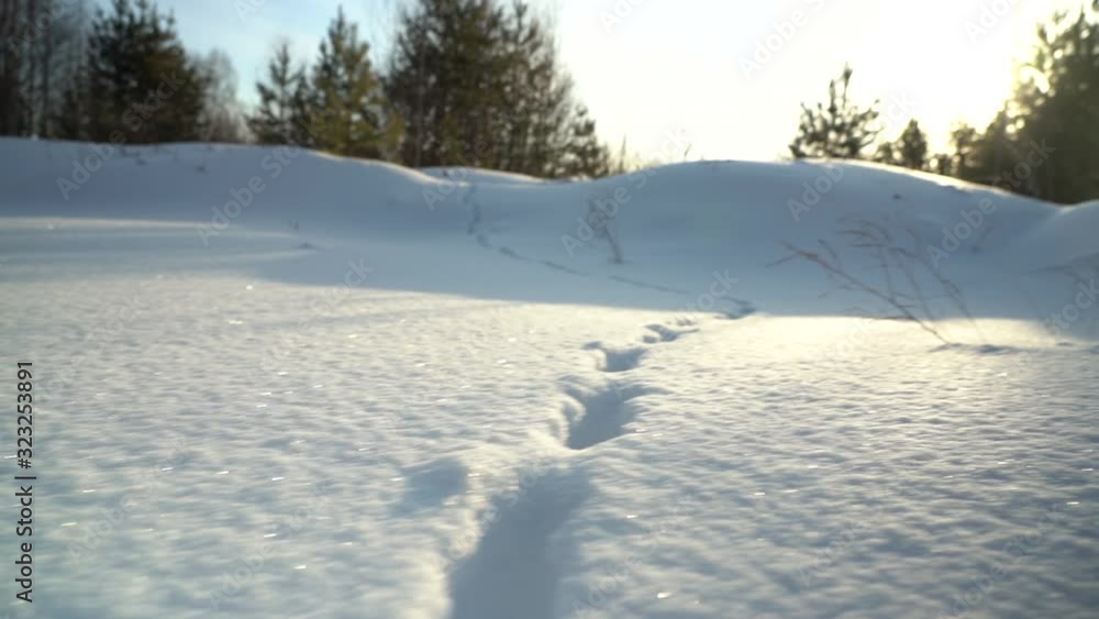 Fluffy loose pure snow sparkles in the sun. Fluffy loose pure snow sparkles in the sun.