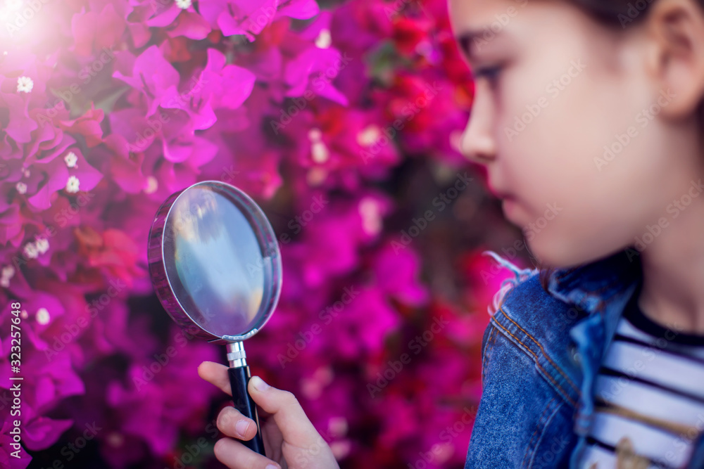 A kid girl looking through magnifier at plants. Children, discovery and botany concept A kid girl looking through magnifier at plants. Children, discovery and botany concept