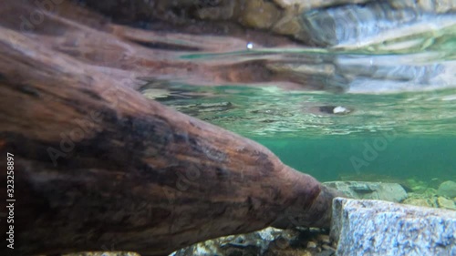 Slow motion underwater reveal of Sturtevant Falls Angeles National Forest. photo