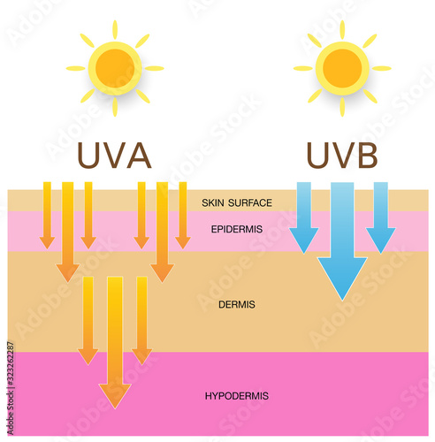 Skin compare , Protect both UVA and UVB