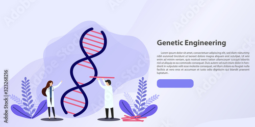 Scientists working with DNA concept.