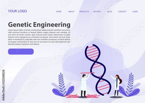Doctors working with DNA concept.