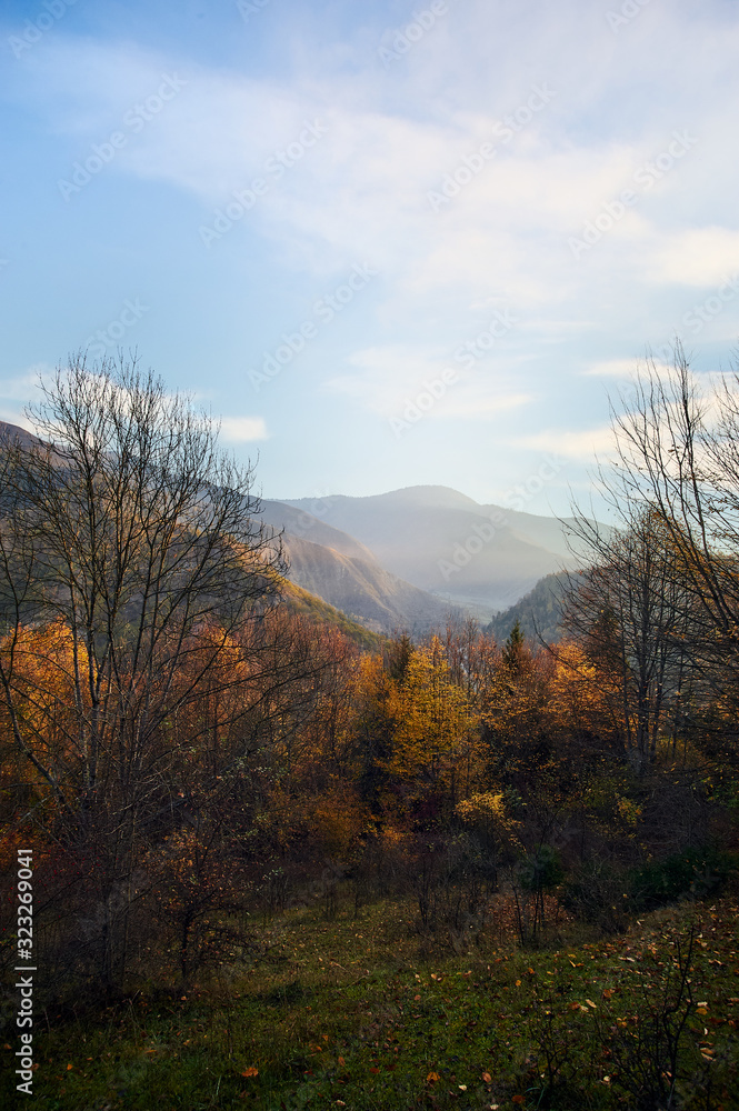Beautiful autumn sunset in Borjomi, Georgia. Golden fall leaves and forest in the mountains.
