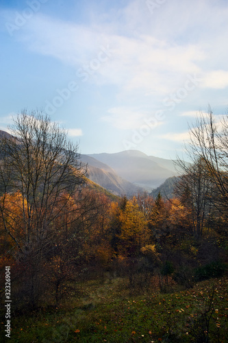 Beautiful autumn sunset in Borjomi  Georgia. Golden fall leaves and forest in the mountains.