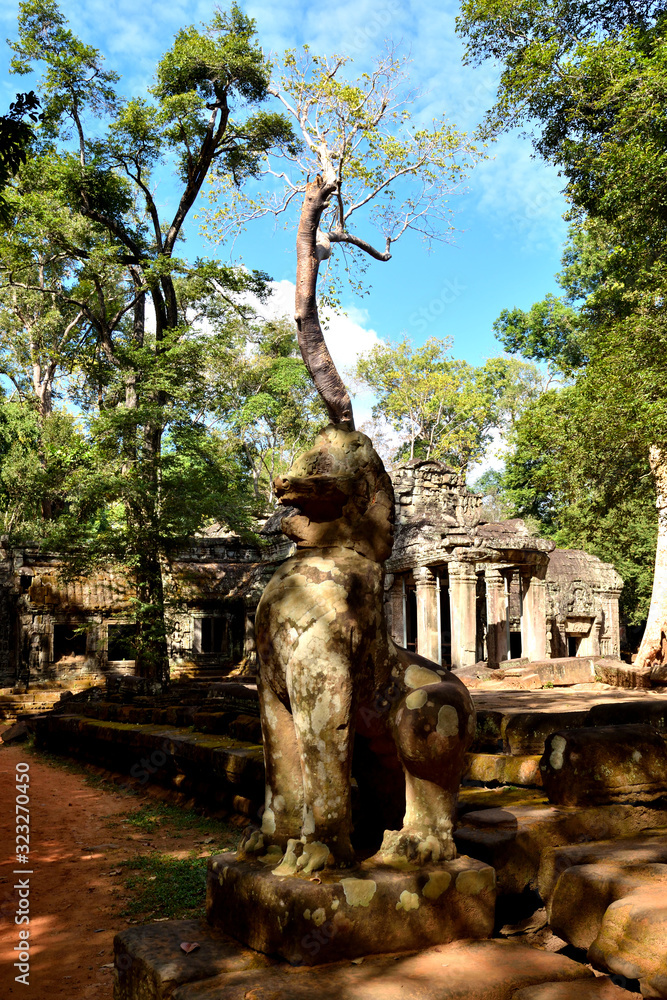View of the beautiful famous temple of Ta Prhom, Angkor
