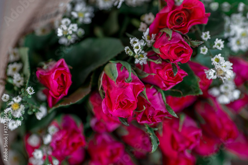 Close-up flower view pink  red rose that is beautifully decorated as a bouquet  placed on the table or garden to give on special days Valentine wedding 