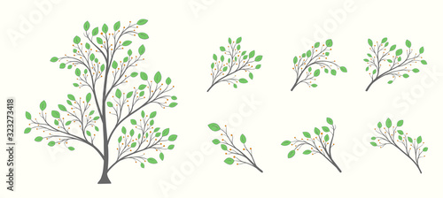 Tree with a set of branches with green leaves and berries on a light background