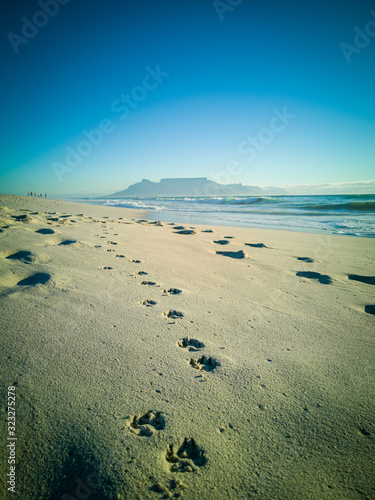 Wallpaper Mural South African Sunset Sunrise sandy coast Cape Town South Africa Torontodigital.ca