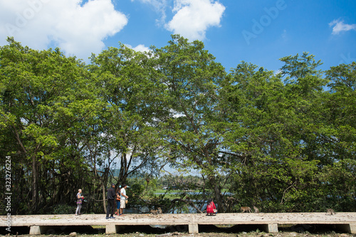Portrait of macaque monkey in thailand