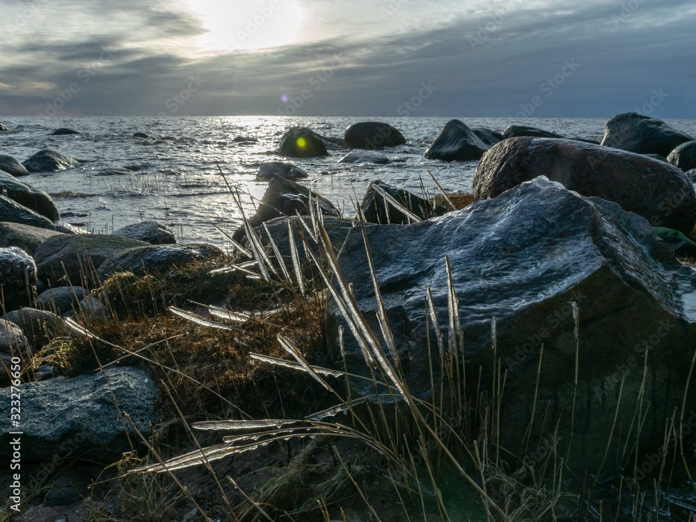 sea and wind made abstract formations of frozen dry reeds sea and wind made abstract formations of frozen dry reeds
