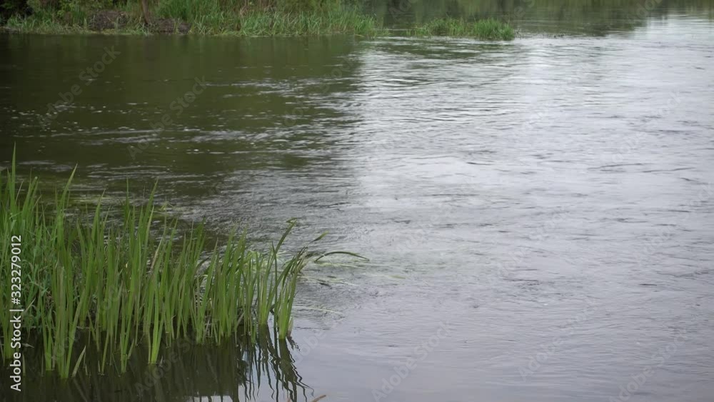 Small river with fast turbulent stream. Two riversides with grass. 4K Small river with fast turbulent stream. Two riversides with grass. 4K