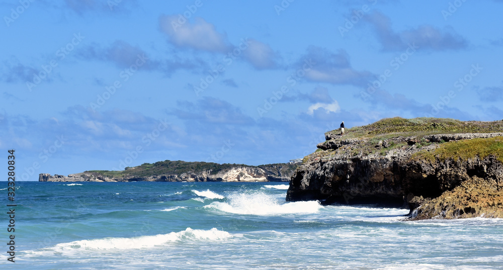 wild beach on the Atlantic coast wild beach on the Atlantic coast