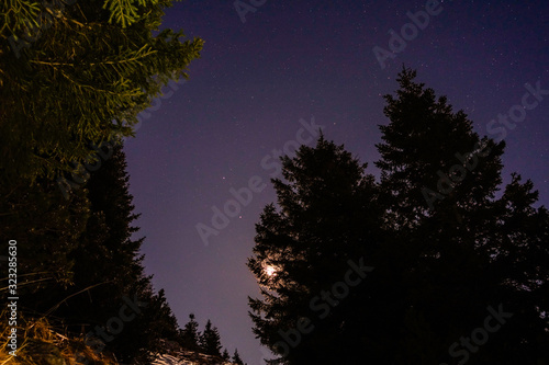Moon in forest with stars