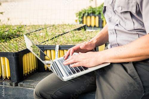 Close-up of biologist in greenhouse lab, inspecting seedlings and documenting all in laptop. Montana, USA