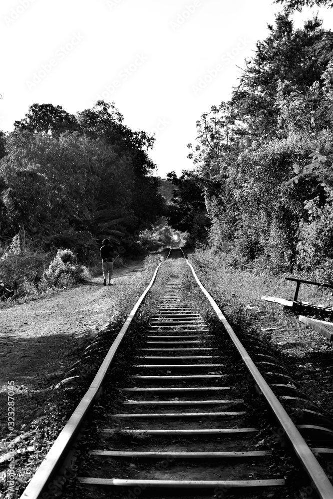 Fototapeta premium View of the Cambodian countryside from the famous bamboo train